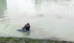 咸宁跳水最新爆料,真相与幕后黑幕曝光